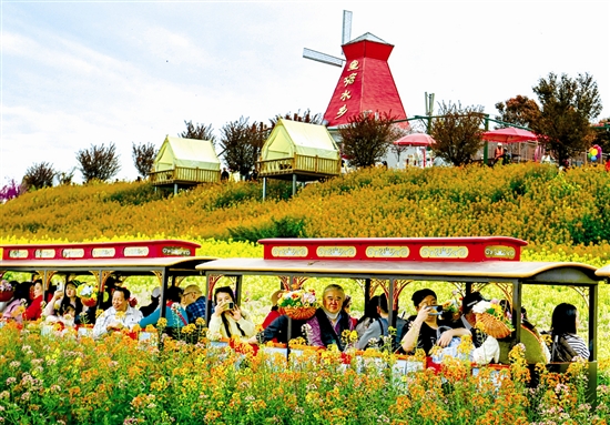 fangmy63237_b (1).jpg